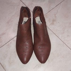 Chestnut shooties